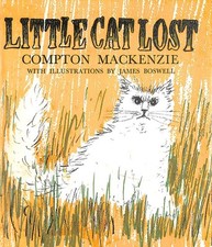 Little cat lost for sale  DEVIZES