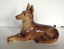 Chien berger belge d'occasion  Blain