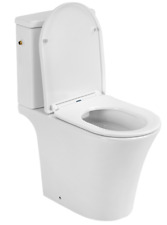 Spülrandlos toilette stand gebraucht kaufen  Strehla