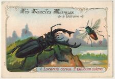 Carte chromo lucanus d'occasion  Dijon