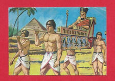 Spanish bimbo card d'occasion  France