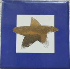 Kachel goldener stern gebraucht kaufen  Köln