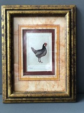 Vintage rooster chicken for sale  Brooklyn