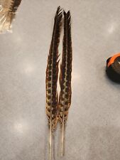 Matched hybrid ringneck for sale  Hill City