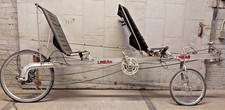 1995 linear tandem for sale  Madison