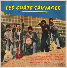 Chats sauvages sais d'occasion  Montmorot