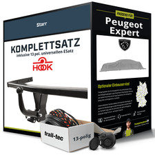 Peugeot expert typ gebraucht kaufen  Pößneck
