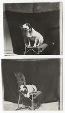 Photo tirages anonyme d'occasion  Avignon