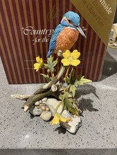 County artist kingfisher for sale  COLWYN BAY