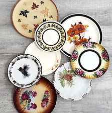 Vintage mismatched plates for sale  Gaines