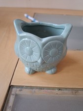 Owl indoor plant for sale  BEDFORD