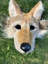 Coyote animal mask for sale  Florence