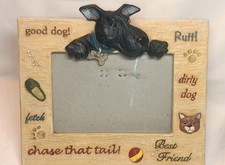 Black lab best for sale  Grafton