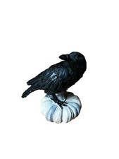 Dickman farms crow for sale  Fayetteville