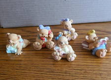 Teddy bear babies for sale  Calimesa