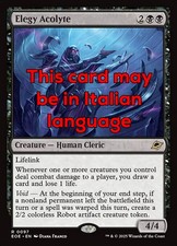 Mtg elegy acolyte usato  Italia