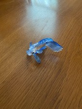 siamese fighting fish for sale siamese fighting fish for sale CHELMSFORD