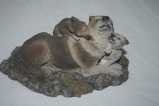 Wolf pups wolves for sale  Spring