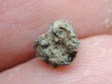 Nwa 5728 chondrite for sale  Hebron