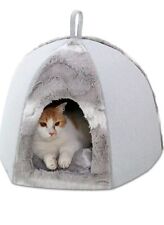 Sby pet cat for sale  ROCHDALE