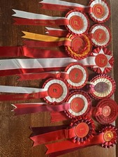 Horse rosettes 1st for sale  WEDMORE