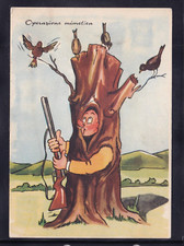 Cartolina umoristica caccia usato  Italia