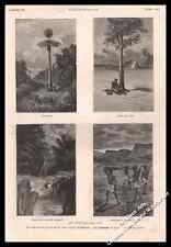 Gravure 1882 guinée d'occasion  Villeneuve-l'Archevêque