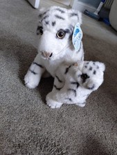 Born free white for sale  ROTHERHAM