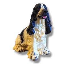 Black white cocker for sale  Forney