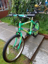 Kids raleigh extreme for sale  CHESSINGTON