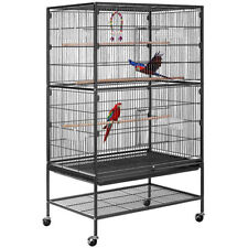 Inch large parrot for sale  Bloomington