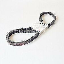 73740251b cinghie distribuzion usato  Pagani