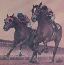 Fred stone race for sale  San Diego