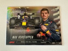 Max verstappen camber gebraucht kaufen  Twistringen