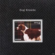 Dog breeds welsh for sale  PONTYPRIDD