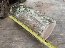 Oak log 10.5 for sale  Dry Ridge