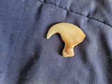 Griffe lion broche d'occasion  Les Ulis