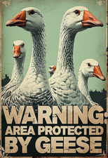 Warning area protected for sale  DUNSTABLE