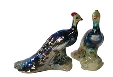 Ksp pair peacock for sale  EDINBURGH