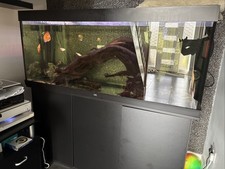 Juwel aquarium fish for sale  MARKET RASEN