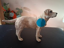 Standing golden yellow for sale  WISBECH