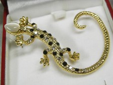 Lezard grande broche d'occasion  Équeurdreville-Hainneville