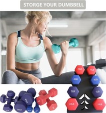 Dumbbell rack dumbbell for sale  Rochester