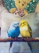 Budgie cushion cover for sale  RICHMOND