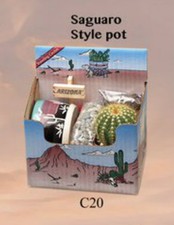 Barrel cactus gift for sale  Tucson