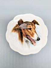 miniature collie for sale miniature collie for sale SWANSEA
