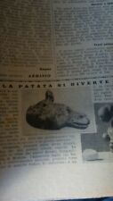 Veliero pesca lampedusa usato  Campobasso