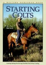 Starting colts western for sale  Colorado Springs