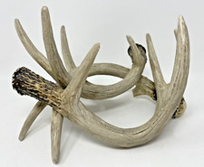 Faux antler centerpiece for sale  Portsmouth