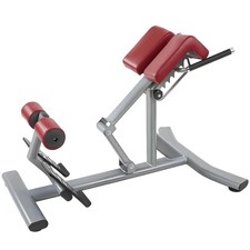 Panca romana professionale usato Panca romana professionale usato  Crespina Lorenzana